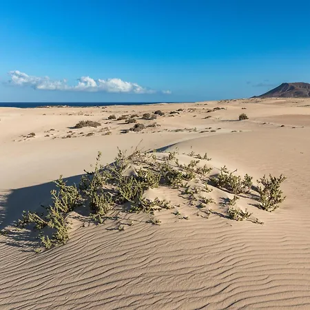 Home2book Zen Oasis Pool & Terrace,