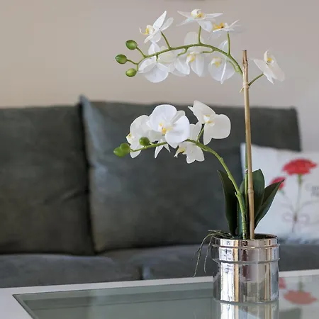 Home2book Zen Oasis Pool & Terrace, Διαμέρισμα Κοραλέχο