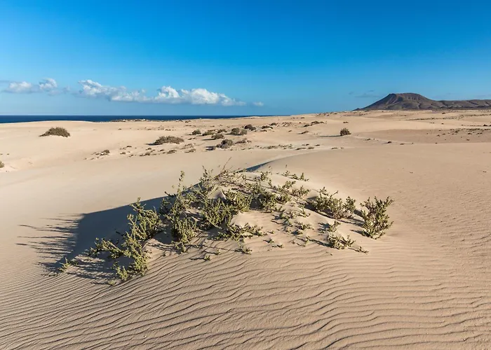 Home2book Zen Oasis Pool & Terrace,