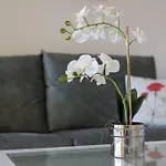 Home2book Zen Oasis Pool & Terrace, Daire Corralejo