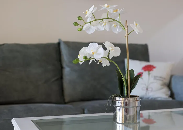 Home2book Zen Oasis Pool & Terrace, Διαμέρισμα Κοραλέχο